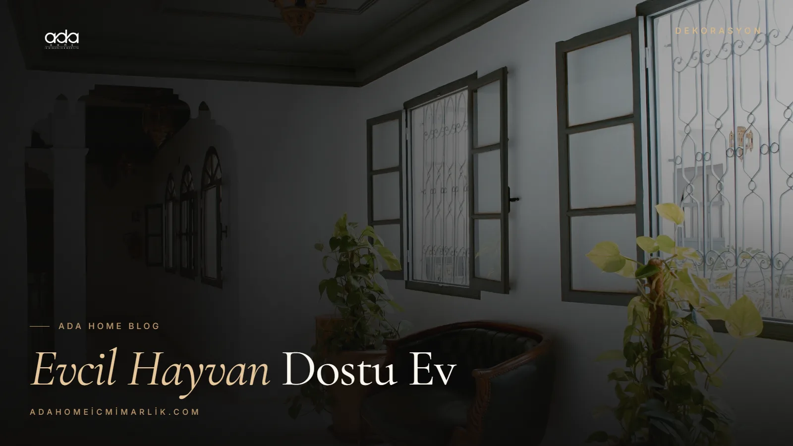 Evcil Hayvan Dostu Ev Tasarımı ve Dekorasyon
